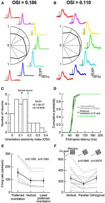 Orientation and Contrast Tuning Properties and Temporal Flicker Fusion Characteristics of Primate Superior Colliculus Neurons